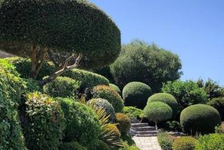 Landscape Architects